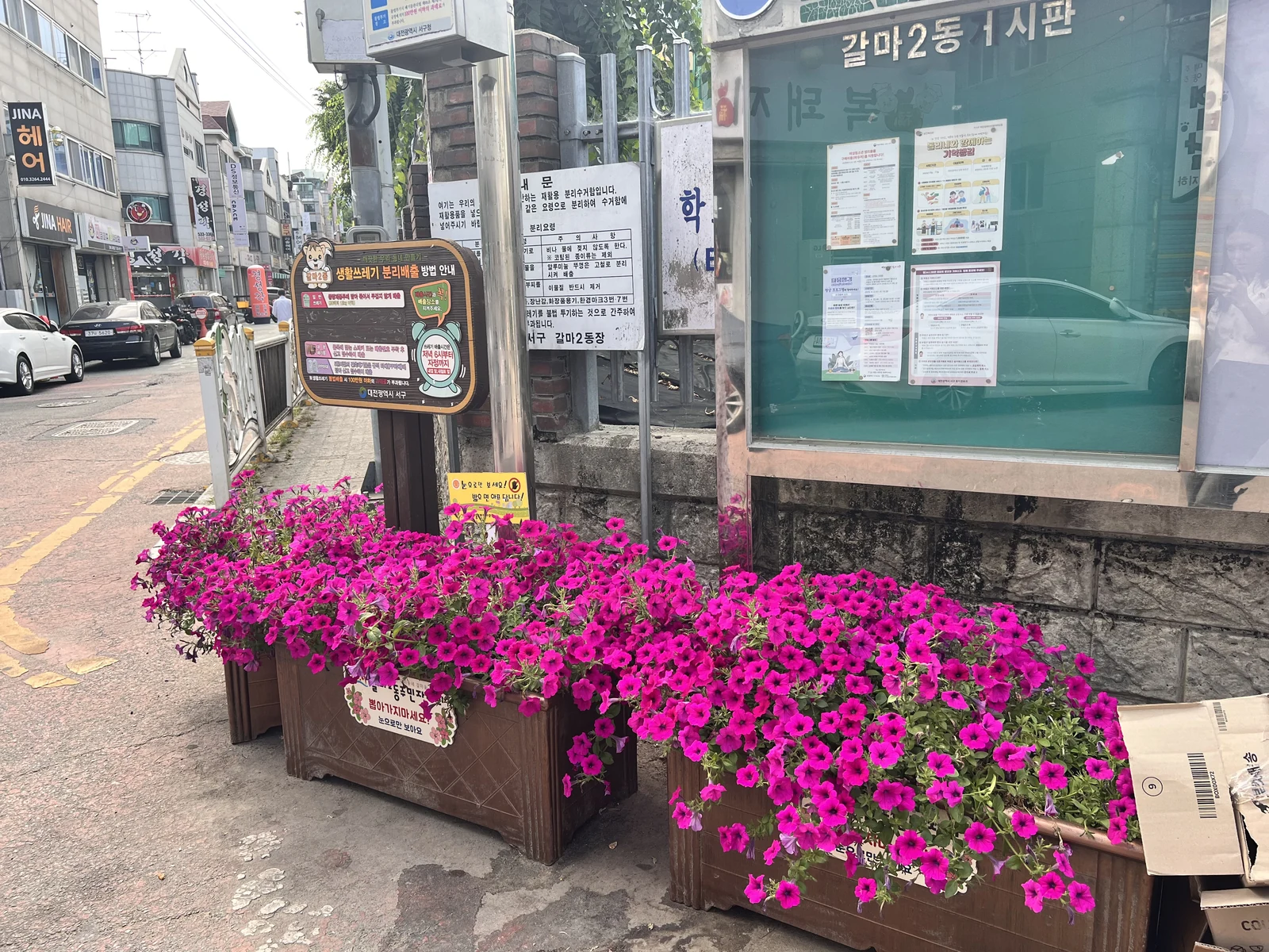 꽃 화분이 놓여 있는 통학로 환경 개선 캠페인 후 모습